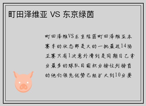 町田泽维亚 VS 东京绿茵